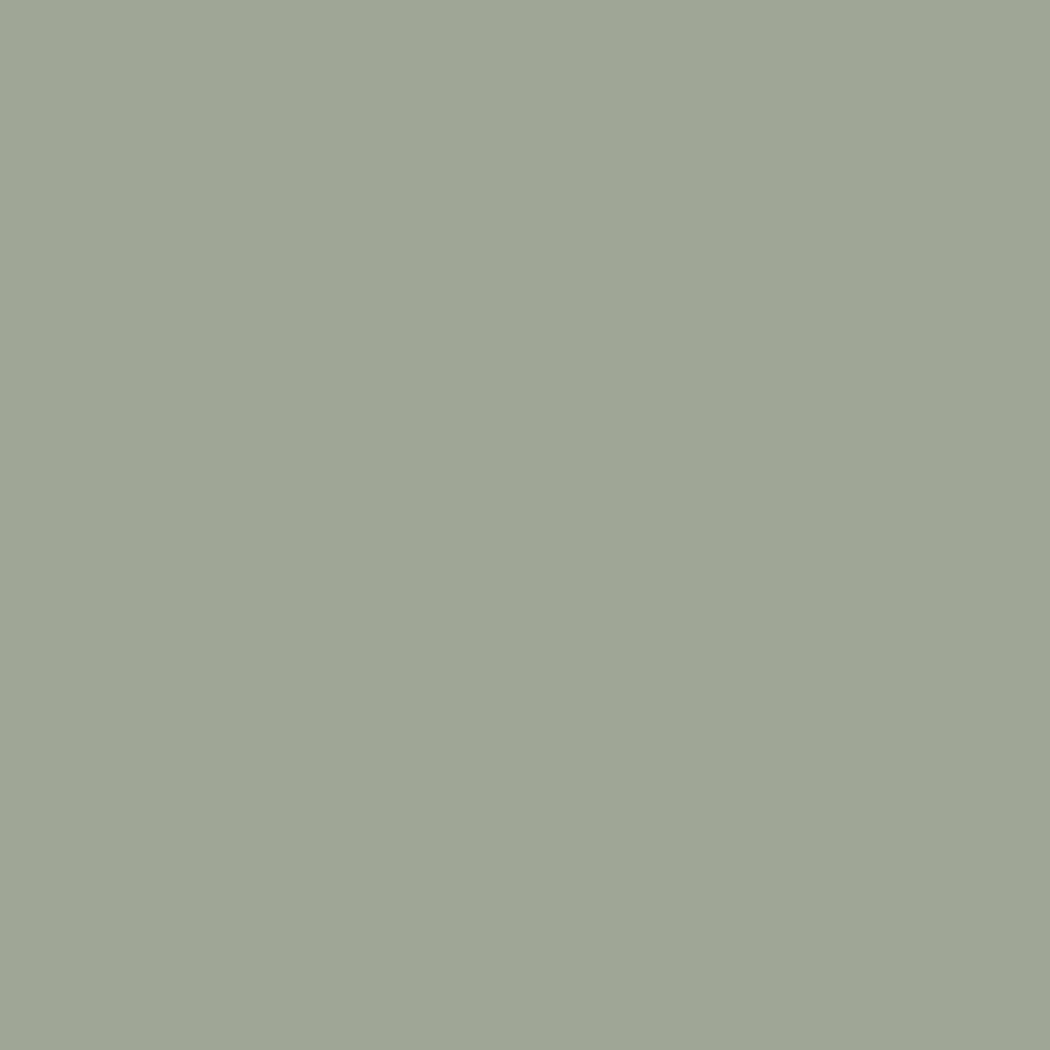 Soft Sage SW 6178