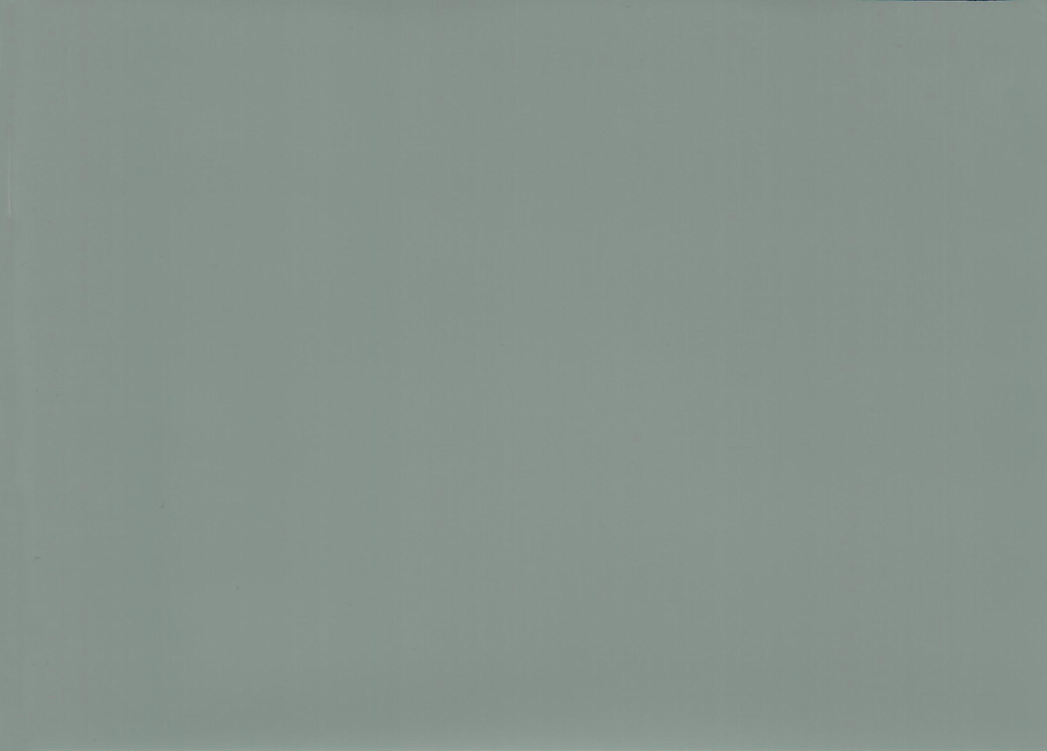 Mountain Green RBW7306L-B10