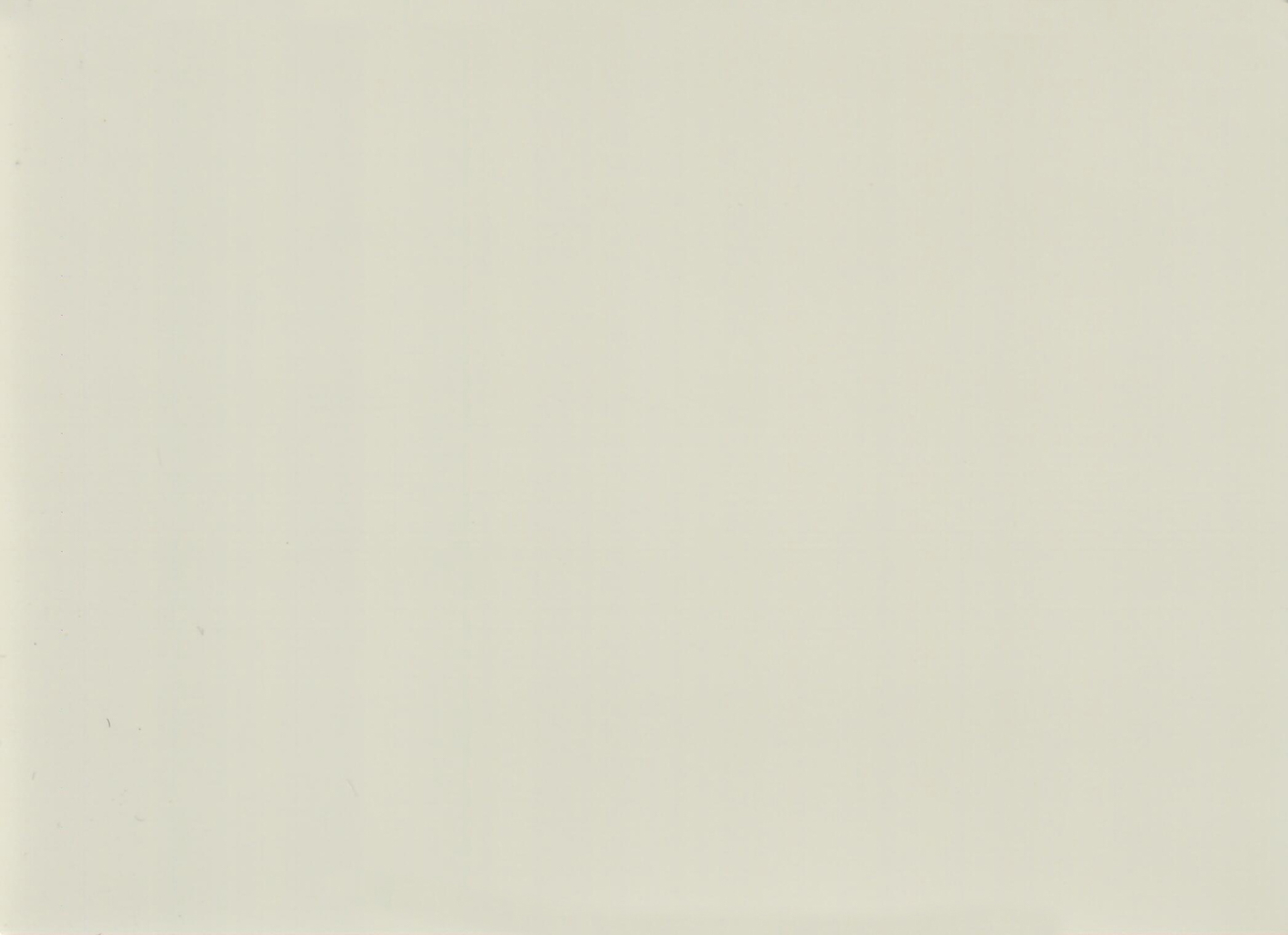 Wind Rider RBW9446L-B10