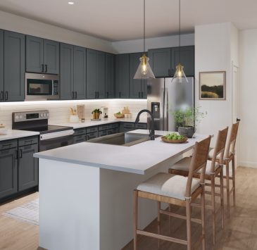 Dawson-kitchen2