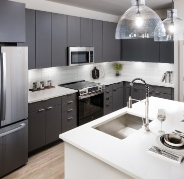 Elan-kitchen3